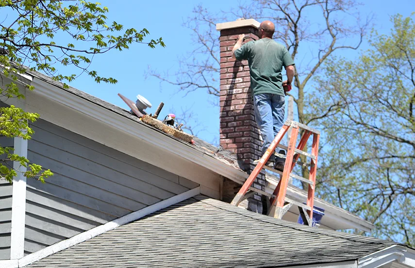Chimney & Fireplace Inspections Services in Charleston, SC